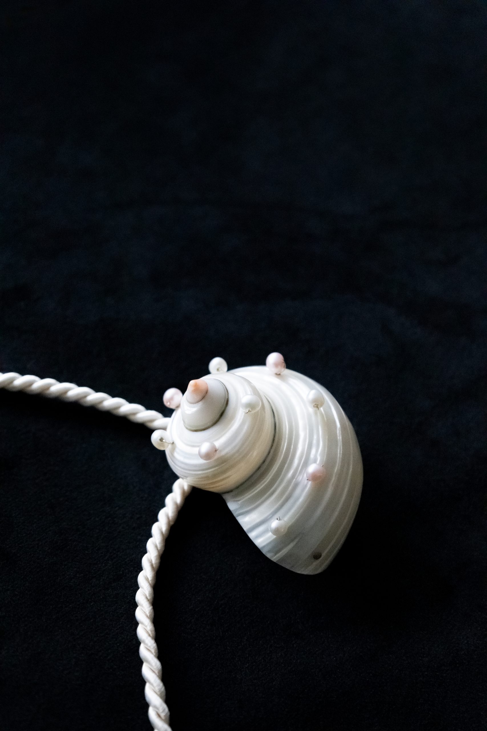 Shell_Necklace_Close_up
