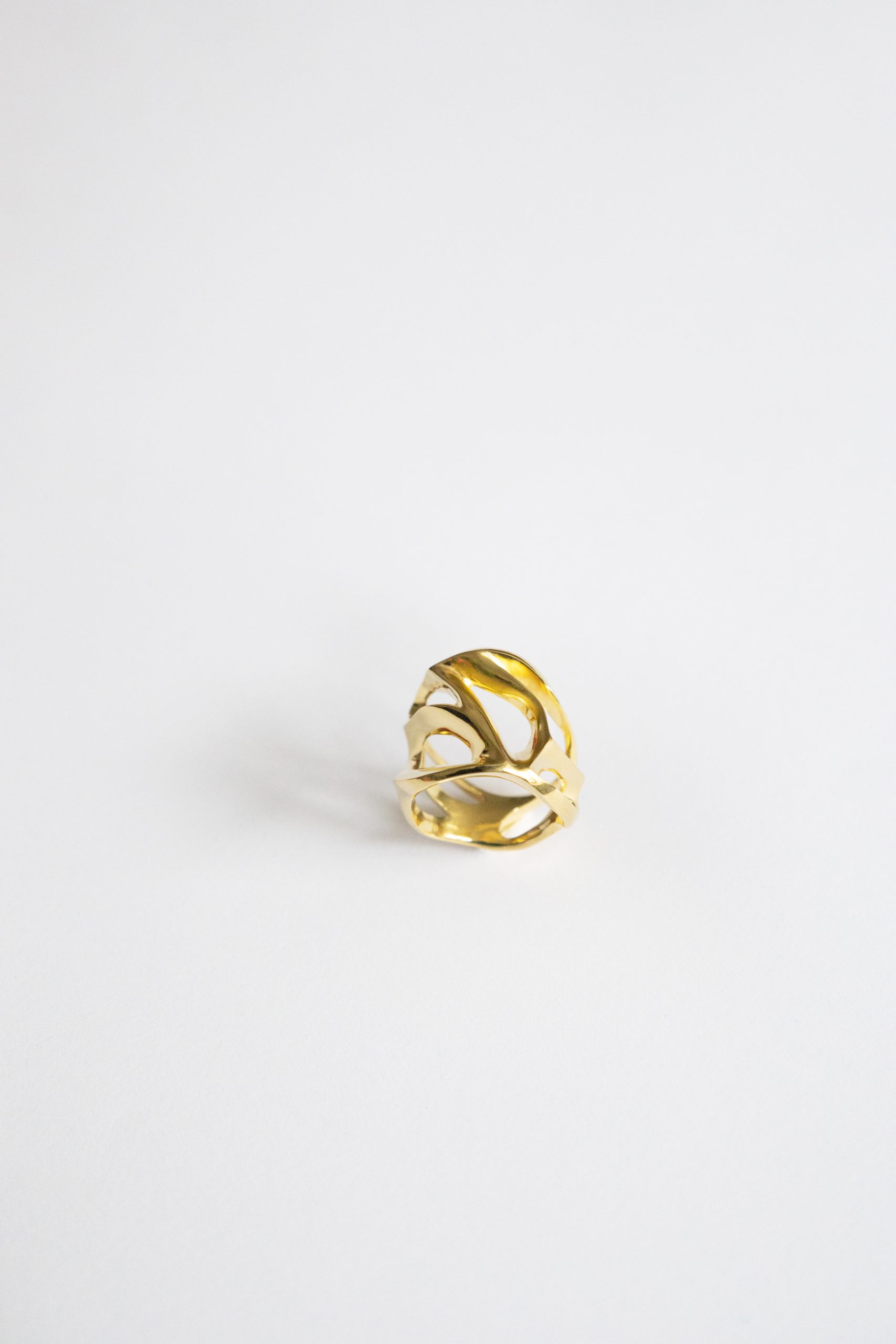 Spiders_Web_Ring_close_up_1