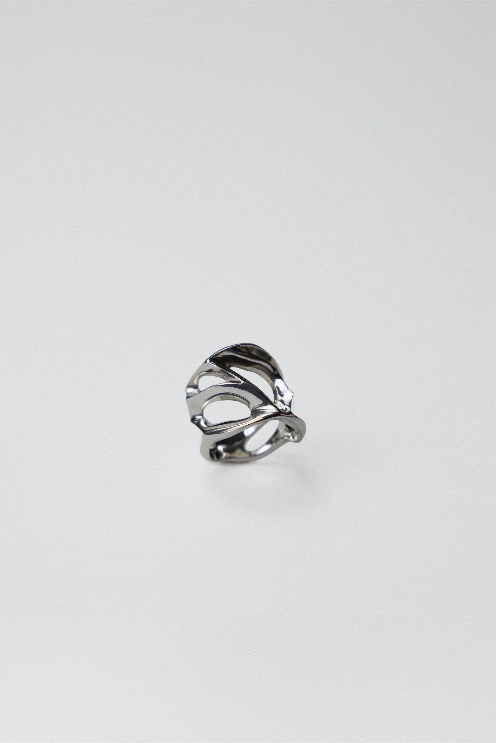 Spiders_Web_close_up_silber_grind